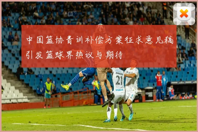 中国篮协青训补偿方案征求意见稿引发篮球界热议与期待